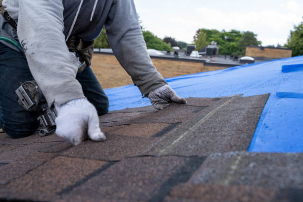 Best Flat Roof Repair Services  in Finley, WA